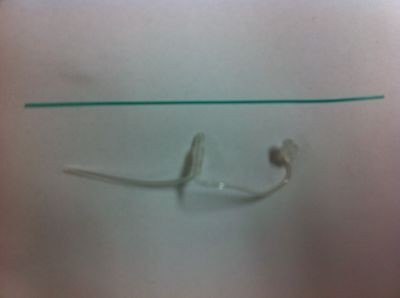 Phonak HE clear tubes by Phonak Size 2 Left Side