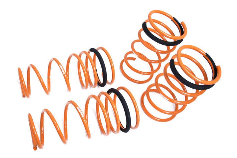   LOWER COIL SPRINGS SPRING COROLLA 98 02 ZZE110 1ZZ FE (Fits Toyota