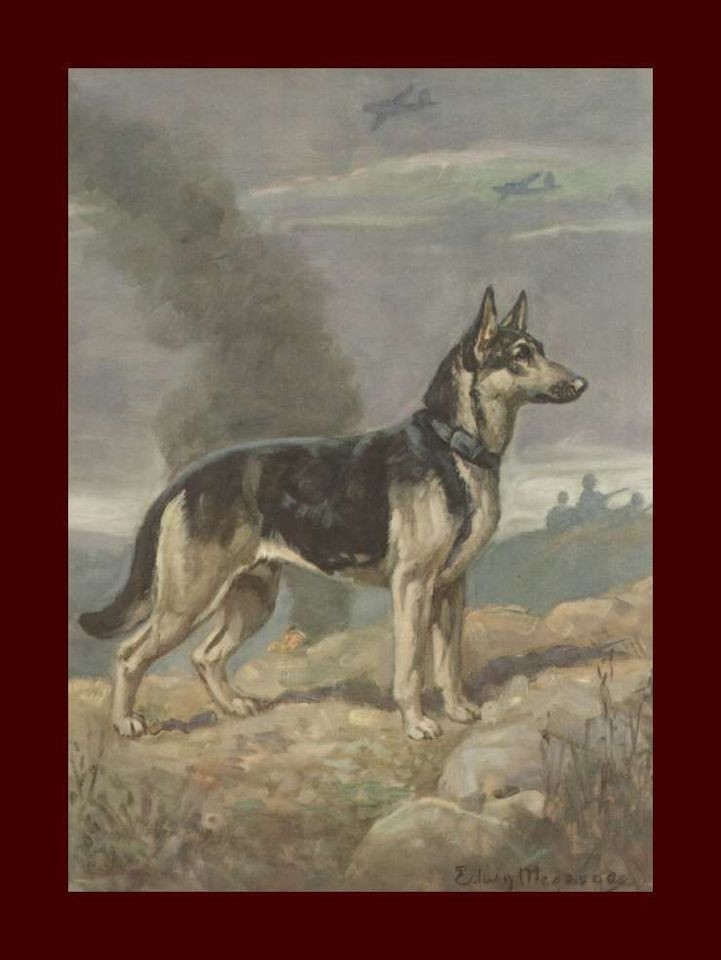   Dog on Battlefield by Edwin Megargee, Fine Print, vintage 1953