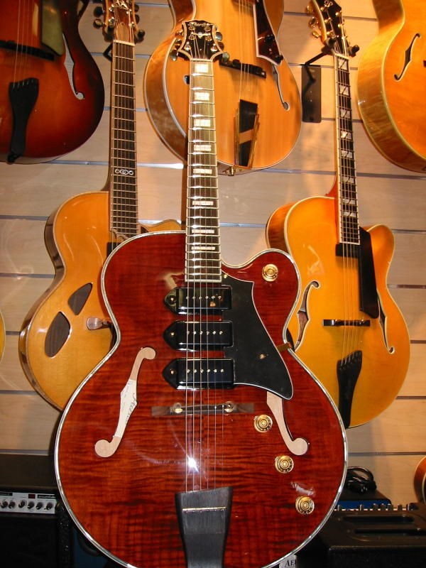 PEERLESS WIZAR​D Custom Electric Hollowbody Archtop P90