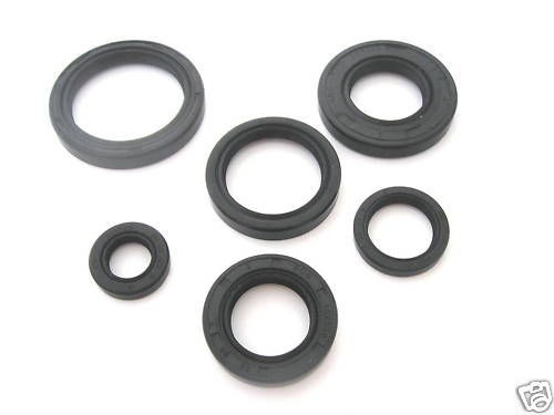 Complete Engine Oil Seals Honda Elsinore CR250 1978 80