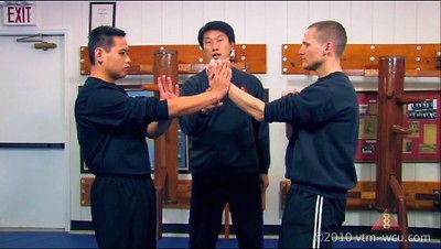 Grandmaster Benny Meng Wing Chun 2 Disc Set