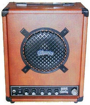 Pignose HOG 30 Rechargeable AMP Acoustic Guitar Bass