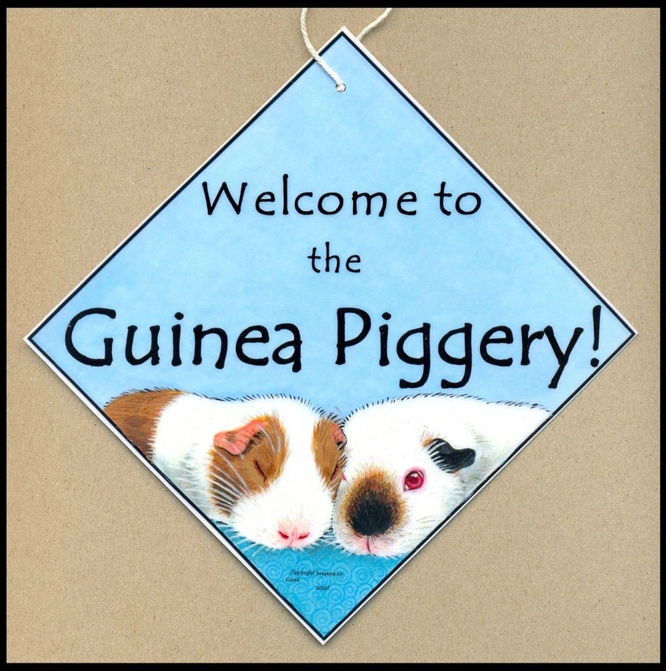 guinea pig sign