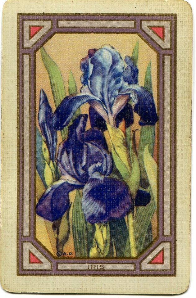   NN Swap Playing Card Marguerites IRIS Beautiful Bright Flower