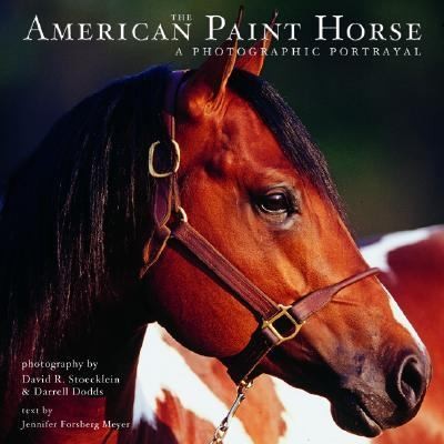   Paint Horse  A Photographic Portrayal, Jennifer Forsberg Meyer, Da