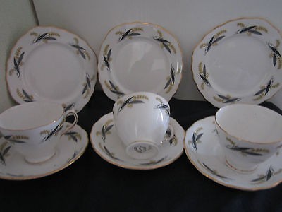 ROYAL VALE ENGLISH BONE CHINA NINE PIECE STUNNING TEA SET