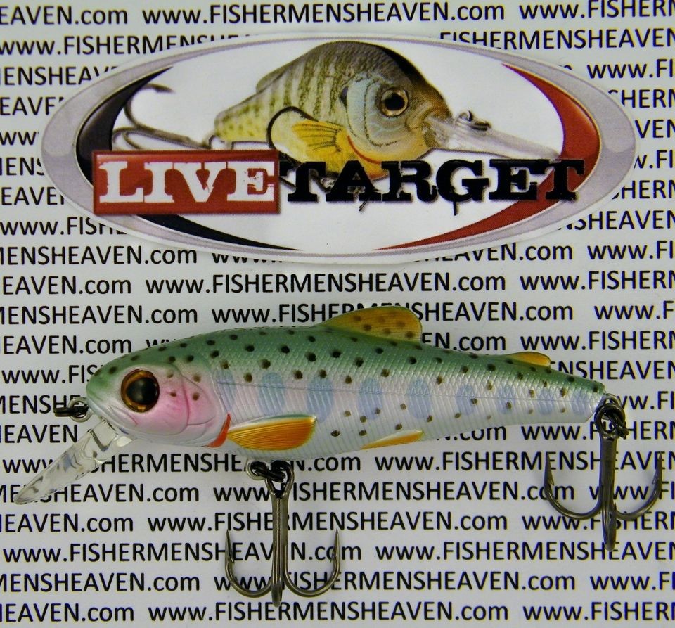 Koppers LIVE TARGET Countdown Crankbait   2.75 RAINBOW TROUT FRY 