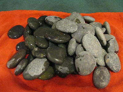 Pebbles   Smooth Black Pebbles  Aquarium Terrarium Garden Rock Bonsai 