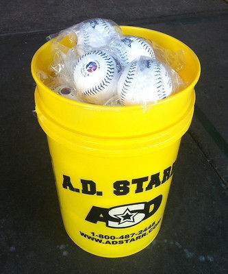   Goods  Team Sports  Baseball & Softball  Balls  Softballs