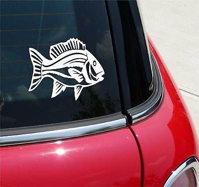 RED SNAPPER FISH FISHING BAIT GRAPHIC DECAL STICKER VINYL CAR WALL
