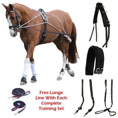   COB SCHOOLING LUNGING ROLLER TRAINING AID PESSOA LUNGE LINE SYSTEM UK