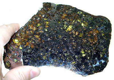 Meteorite Seymchan pallasite olivine slice 203.8 grams EXCELLENT 