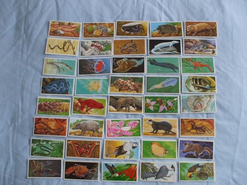   TEA CARDSINCREDIB​LE CREATURES (SHEEN)BUY INDIVIDUALLY NOs 1   20