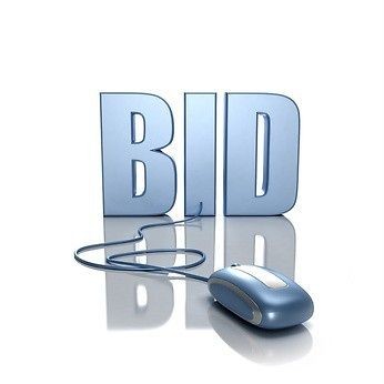 Online Auction Website BUSINESS PLAN + MARKETING PLAN =2 PLANS