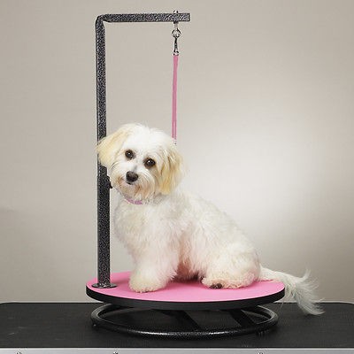 master equipment small dog pet grooming table top pink time
