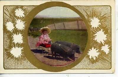 vintage postcard pig drawn wagon victorian girl hogs 