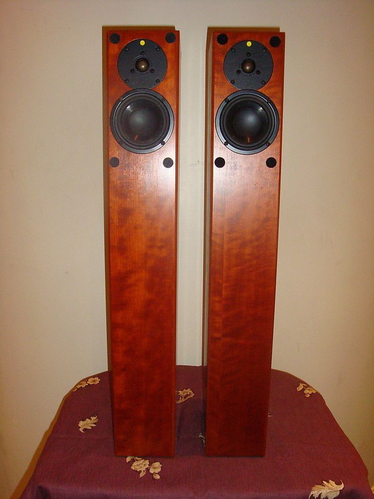 Totem acoustic Arro floor standing cherry pair MO