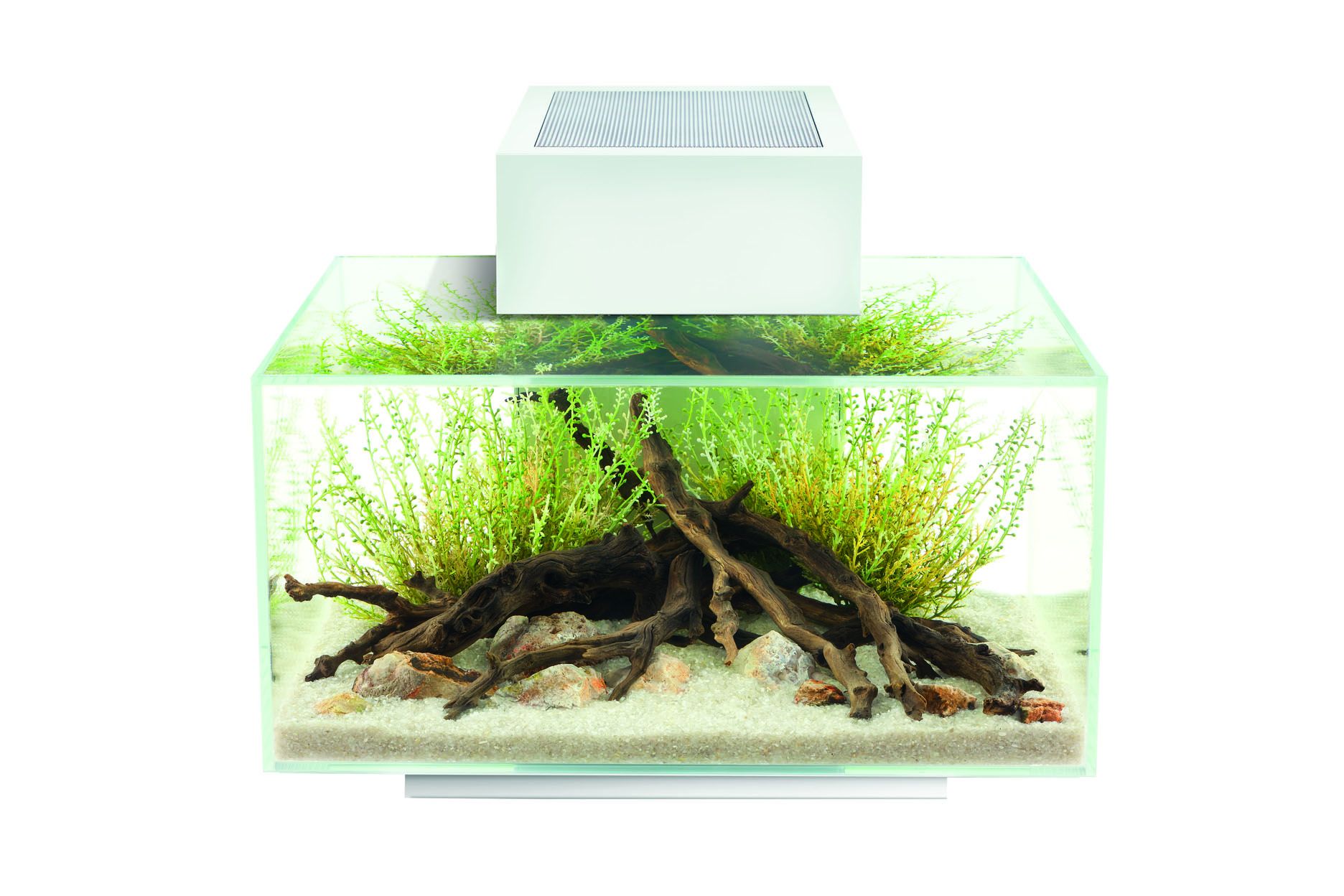 Acquario Novita Askoll Fluval Edge 23 Litri Mod 2012 Nuova 