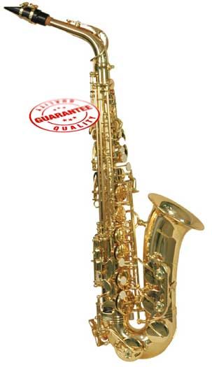 STUDENT ALTO SAXOPHONE GOLD ★PRO CASE★MOUTHPIECE★MORE★