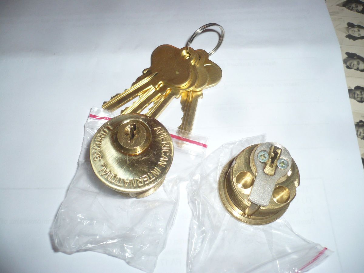 American International Double One Inch Lock Cylinders Security Door 