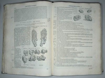 1568 Vesalius «on The Fabric of The Human Body» The Birth of Modern 