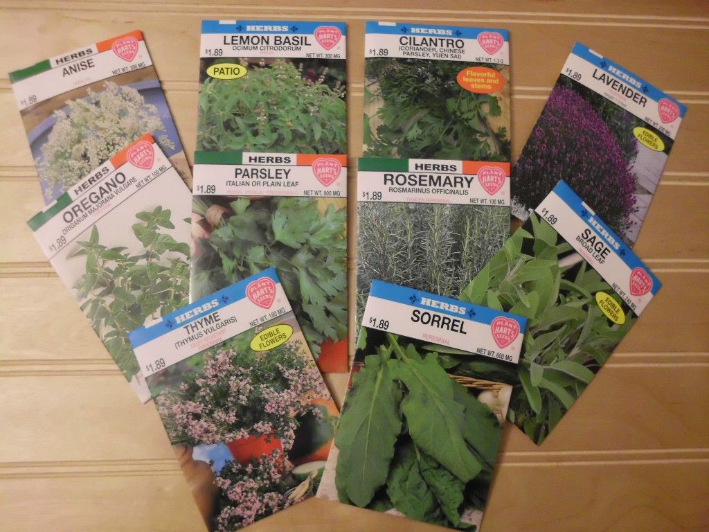 2012 Herb Seeds Anise Lavender Rosemary Sorrel More Choose from 10 