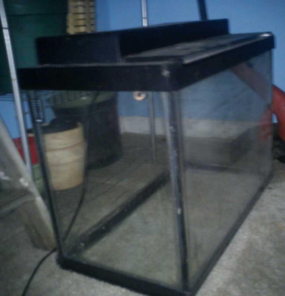 20 Gallon Tall Aquarium Fishtank with Hood and Light