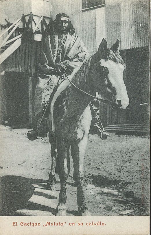 Chile Punta Arenas Indio Cacique Mulato En Su Caballo