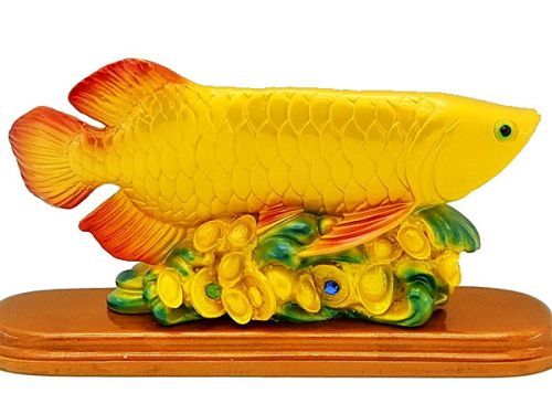 3034_golden_arowana_4