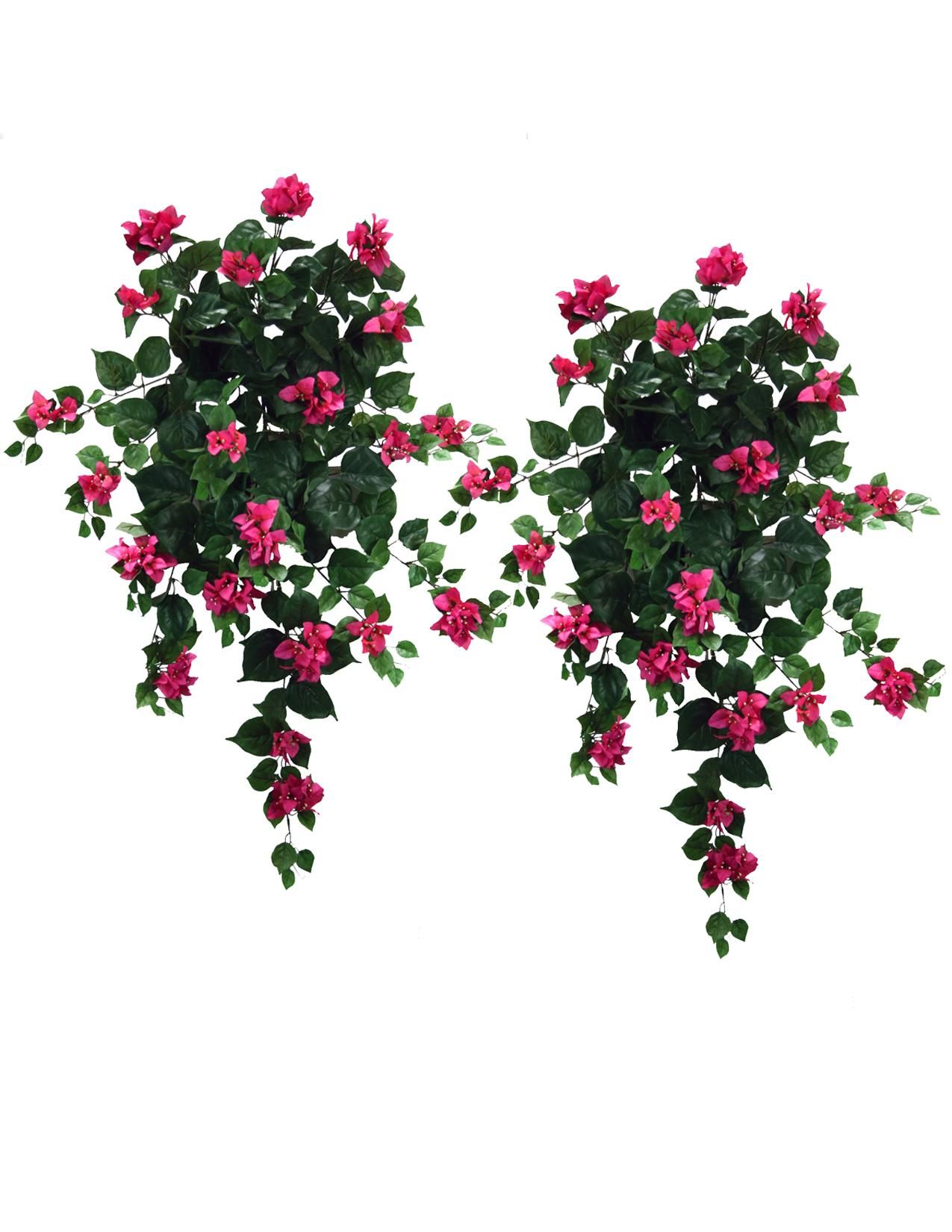 Bougainvillea 36 Hanging Silk Flowers Plants Fu