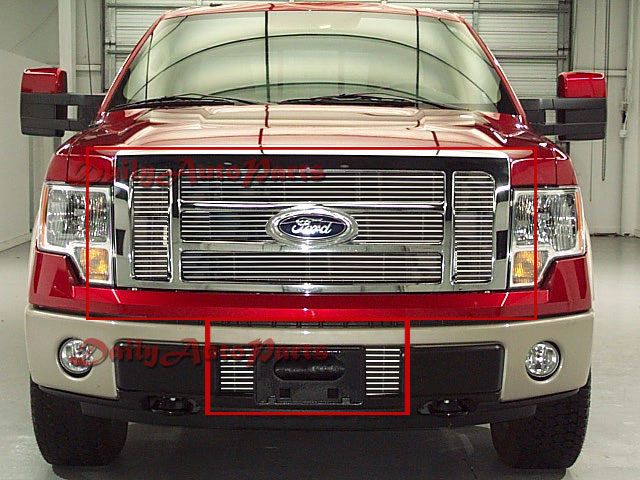 THIS GRILLE INSERT IS THE ITEM WE SELL ( Picture # 2 and # 3)