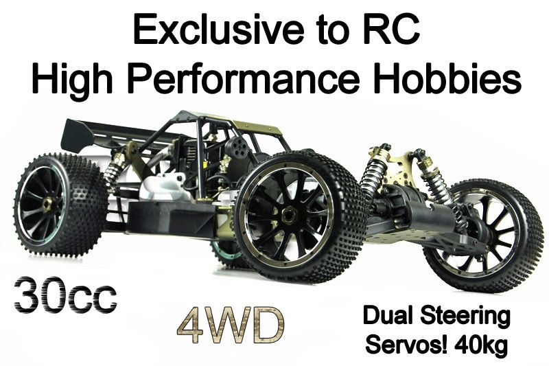 NEW 1 5 SCALE RC 2 4GHz 30cc HSP BAJER PETROL BUGGY w DUAL 20KG 