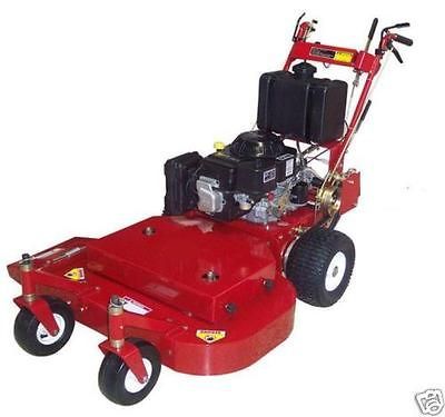 commercial walk behind mower in Walk Behind Mowers