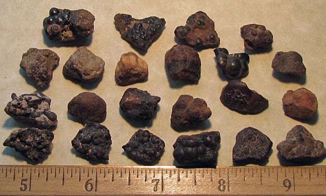 4oz Lot Botryoidal Cassiterite Wood Tin 22 Specimens I