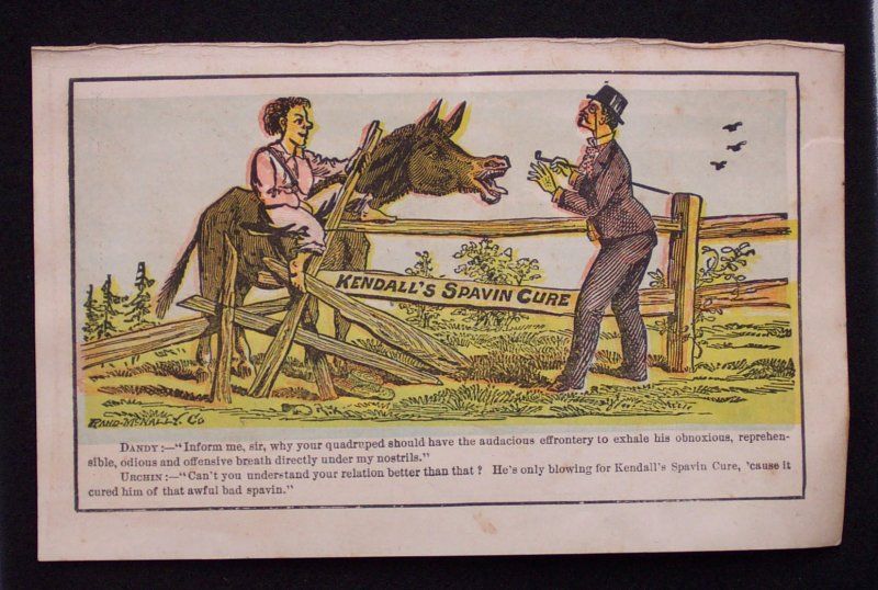 1880s Mule Kendalls Spavin Cure Enosburg Falls VT VTC