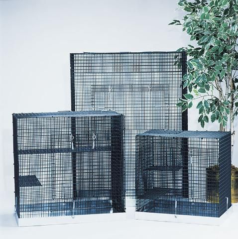 36x18x48 zoo med s iguanarium is excellent for green iguanas