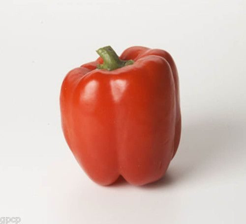 Big Red Heirloom Sweet Bell Pepper Open Pollinated Vegetable 50 Sds 