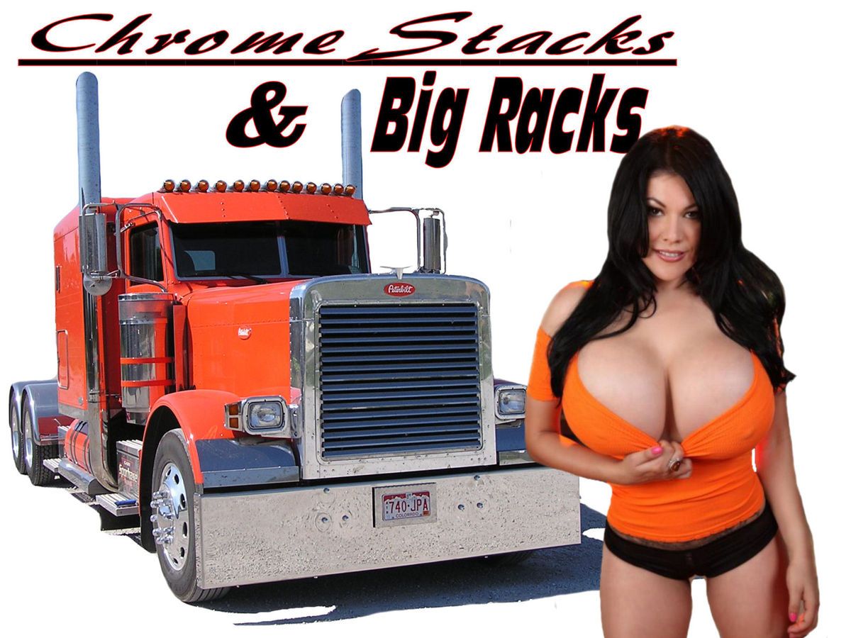 Trucker Shirt Big Rig Diesel Semi Pinup Girl Truck Driving T Shirt 