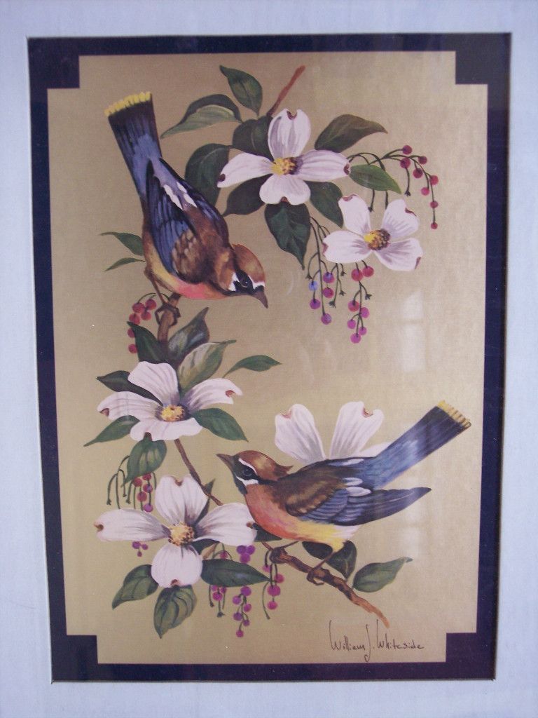 William J Whiteside Framed Birds Dogwood Flower Print