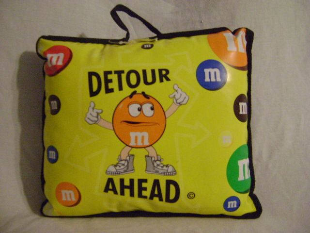 Elliott Sadler 38 Robert Yates M Ms Racing NASCAR Detour Ahead Pillow 