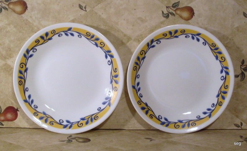  2 Corelle Casa Flora Bread Butter Plates