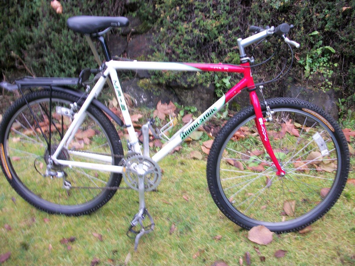 90s BRIDGESTONE MB2 LUGGED RITCHEY LOGIC PRESTIGE FRAME MOUNTAIN BIKE 