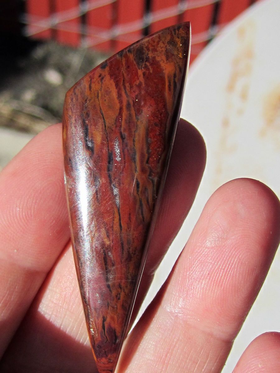 Sleek Designer Cady Mountain Plume agate cabochon