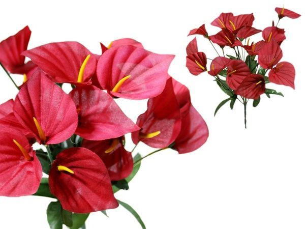   CALLA Lilies Flowers Bushes for Wedding Bouquets Centerpieces SALE