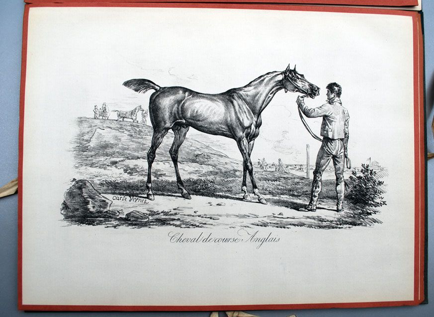   Equestrian Prints 1948 by Carle Vernet Dessins de Chevaux