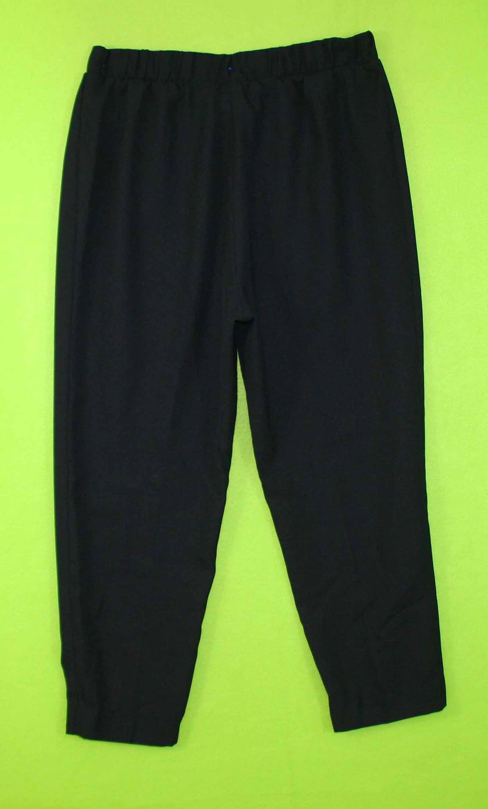 Caron Components Sz Large Womens Black Pants Slacks Elastic Waist 6J31 