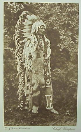   Vanishing Race Chief Umapine Cayuse Genuine Photogravure Sale