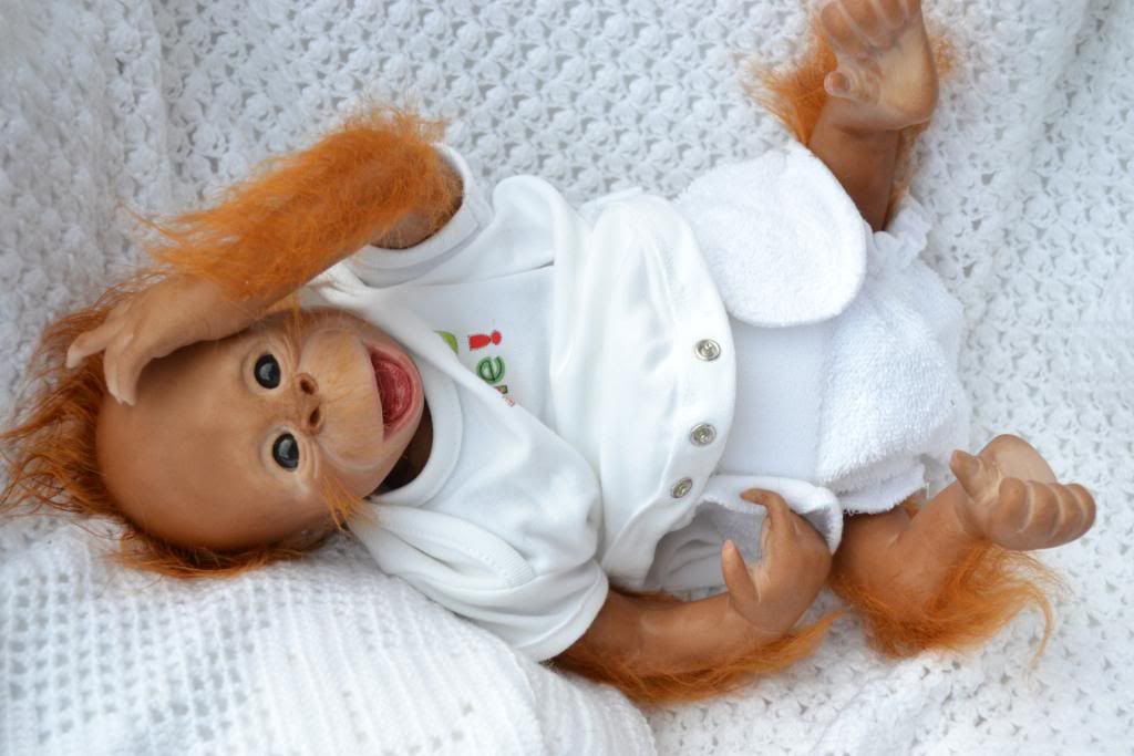 PJs WOW So Cute Reborn Baby Girl Orangutan Monkey Chimp Binki Now Lucy 