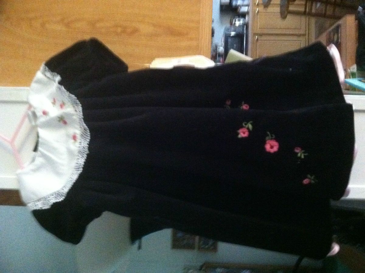 Little Bitty Brand Dress Sz 24 Months Nice